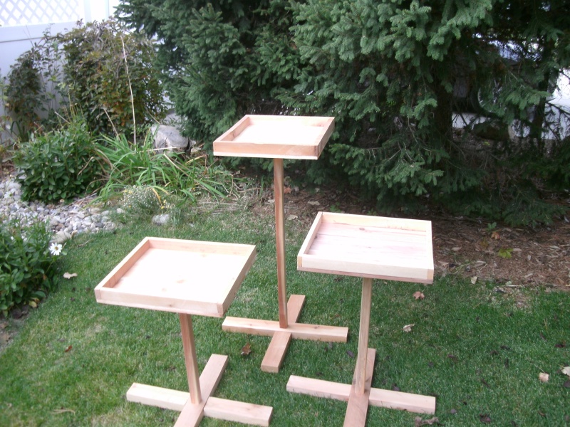 PDF Wooden bird feeder plans pdf Plans DIY Free cabin plan 